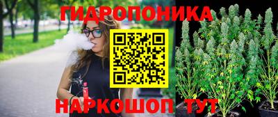 хмурый Новозыбков