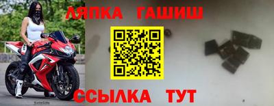 молекула духа Новодвинск