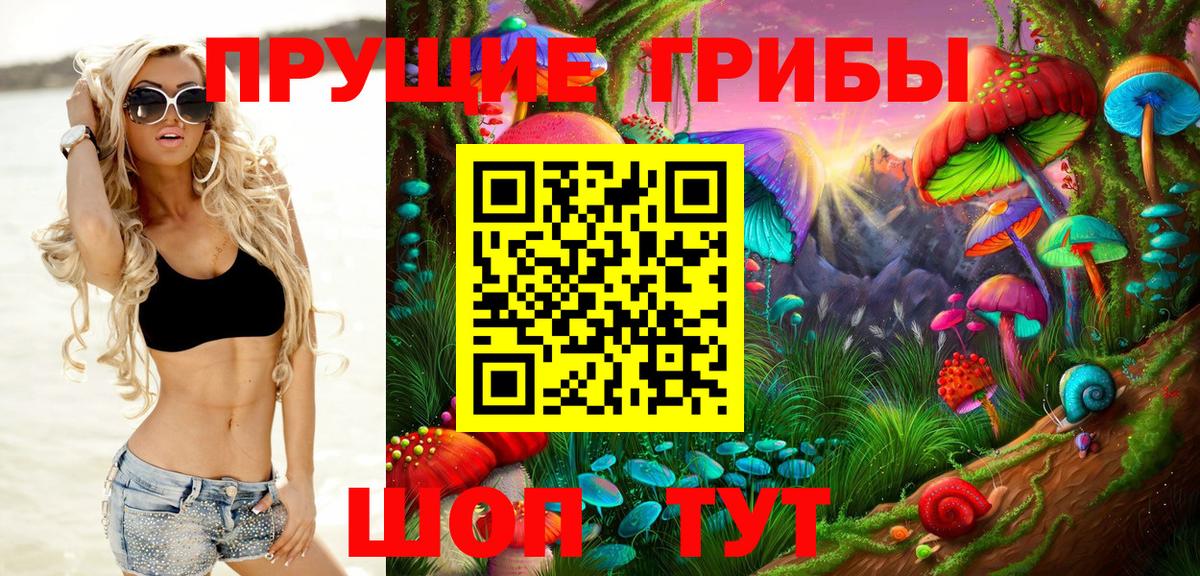 Псилоцибиновые грибы GOLDEN TEACHER Улан-Удэ