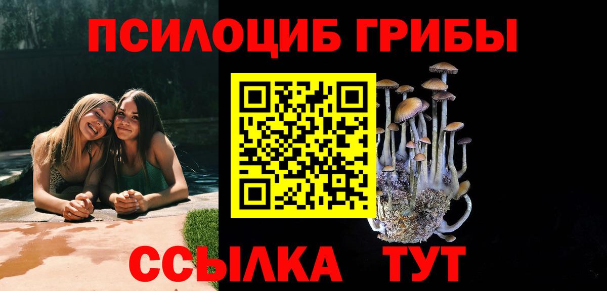 Псилоцибиновые грибы прущие грибы  Вход с VPN  Улан-Удэ  Псилоцибиновые грибы GOLDEN TEACHER 