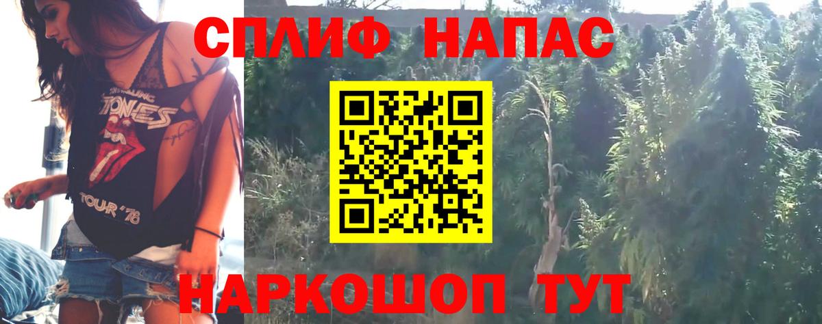 Конопля гибрид Улан-Удэ